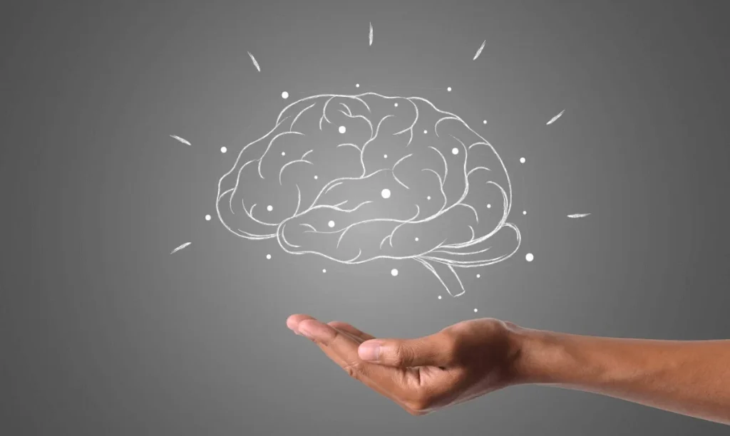 Composición y Efectos en el Cerebro