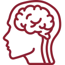 Composición y Efectos en el Cerebro